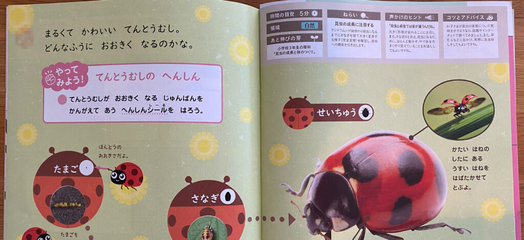 ぺあぜっと