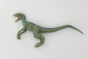 ヴェロキラプトルブルー