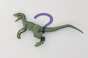 ヴェロキラプトル？