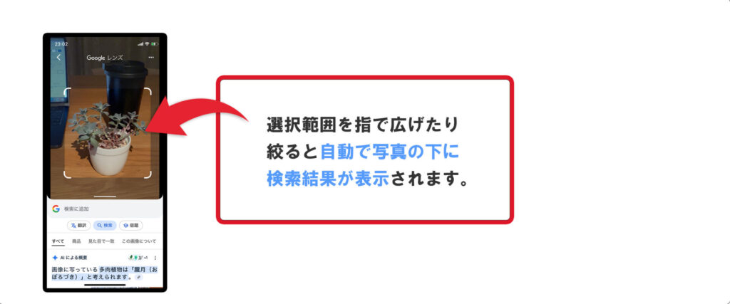検索結果