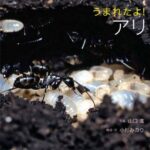 うまれたよ！アリ