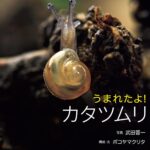 うまれたよ！カタツムリ
