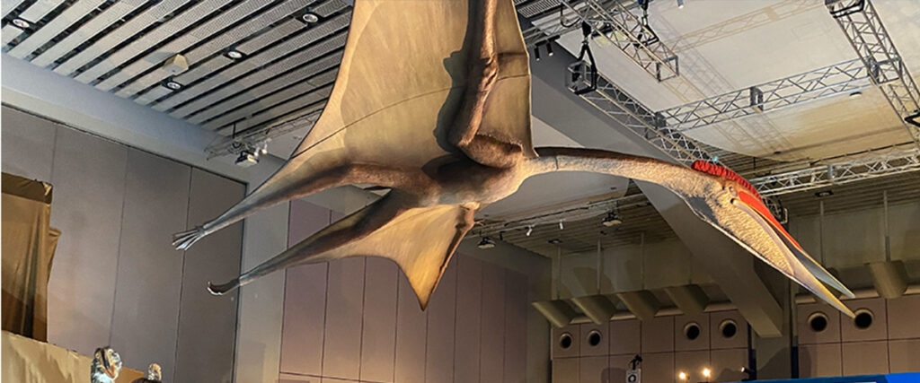 ケツアルコアトルスの展示