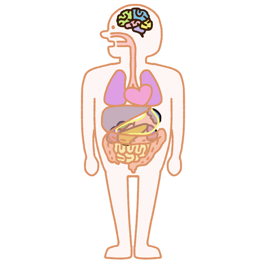 からだの絵本タグ