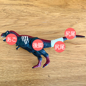 アニアオリジナルダーク_可動