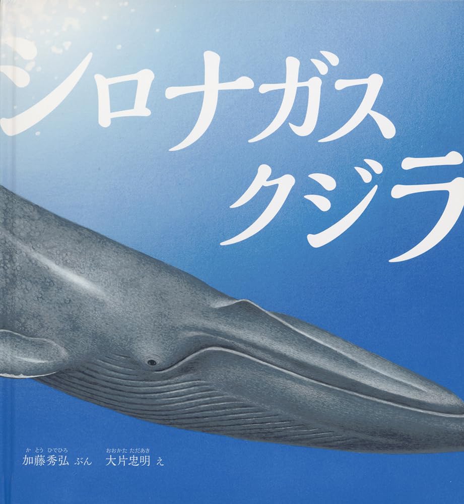 シロナガスクジラ