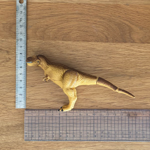 ティラノサウルス:size