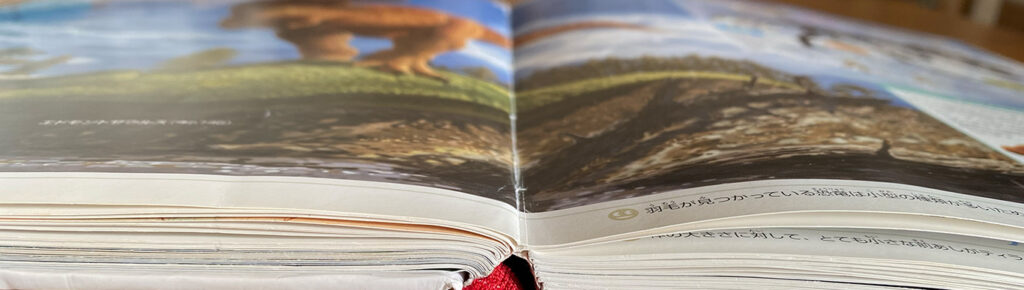 ページのクセ