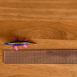 マックモーサ_size