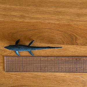 モササウルス_size