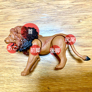 可動_アニア_ライオン