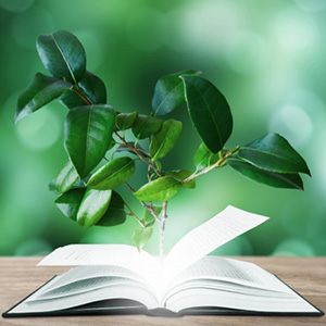 図鑑・自然絵本タグ