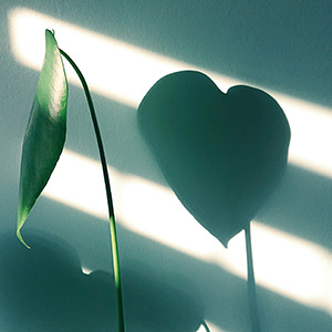 子どもの心を育てるタグ