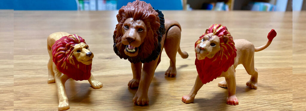 我が家に集まったライオン3体