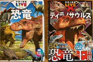 LIVEとエクストリーム