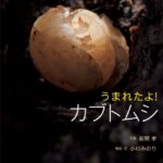 うまれたよ！カブトムシ