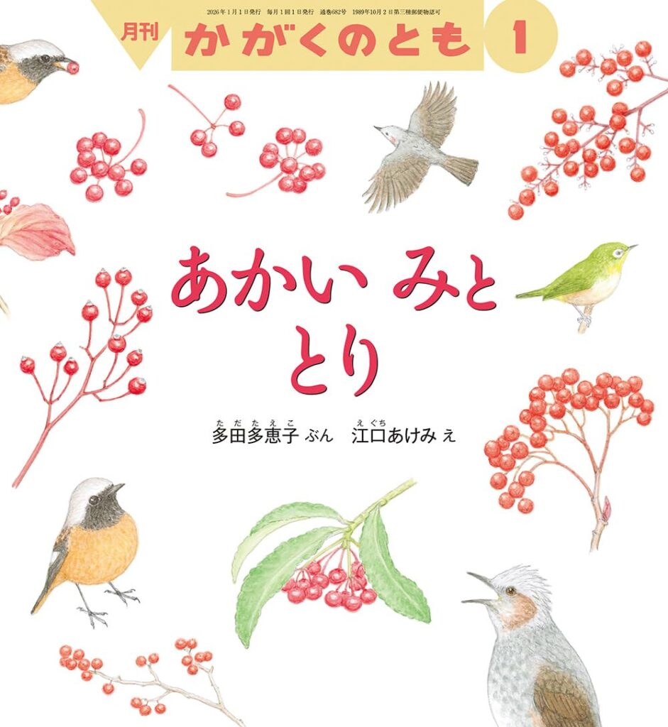 5歳〜7歳】『あかい みと とり』レビュー｜鳥さんが食べる赤い実、鳥